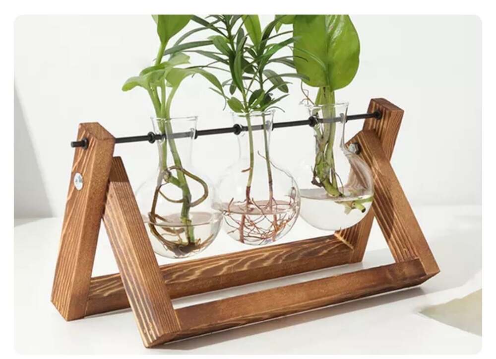 Wooden Plant Propagation Station with 3 Glass Vases Hydroponics Plant Holder